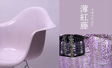 薄紅藤